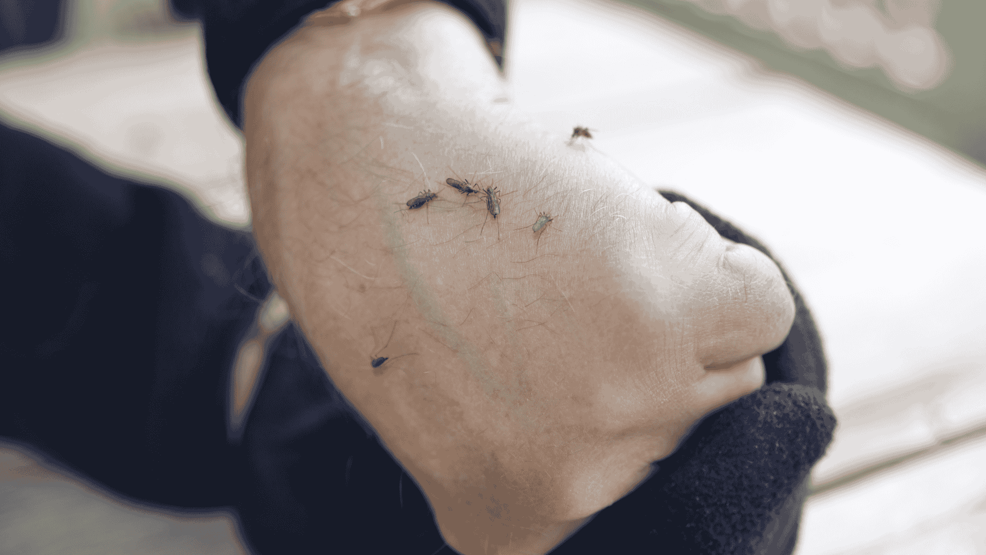 solusi kamar banyak nyamuk