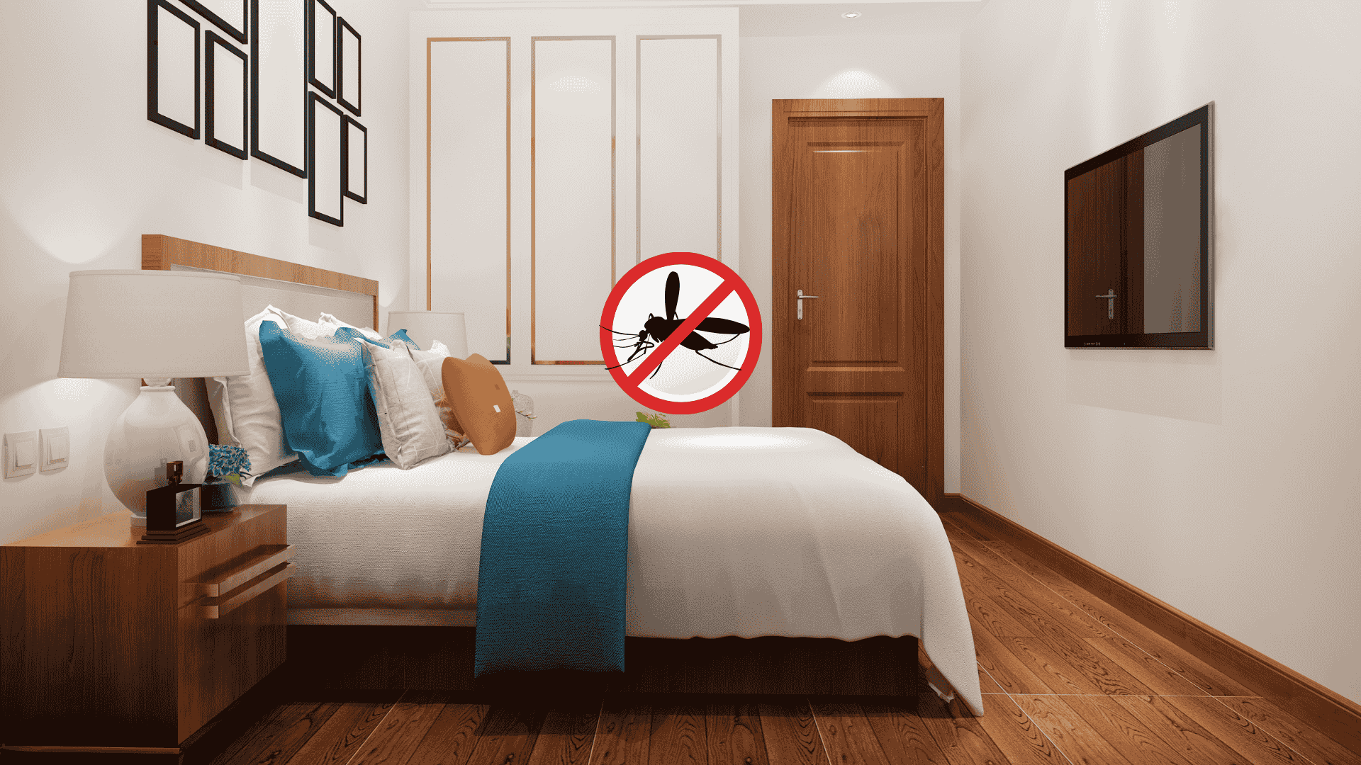 warna kamar anti nyamuk