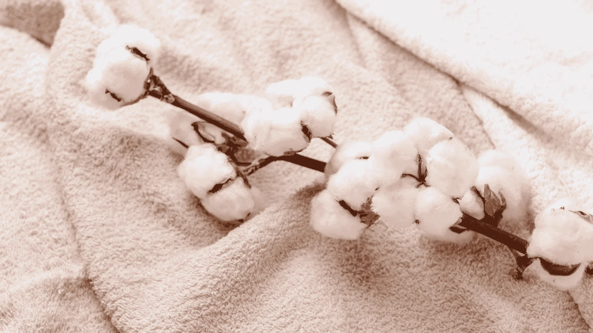 Handuk cotton2